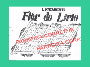 Flor-do-lirio-Loteamento-em-Ananindeua-Parreira-Corretor 